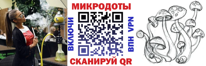 наркотики  площадка какой сайт  Псилоцибиновые грибы ЛСД  Каменногорск  блэк спрут ТОР 